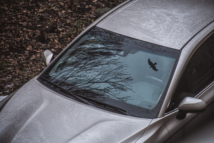 Windshield technology at the service of safety