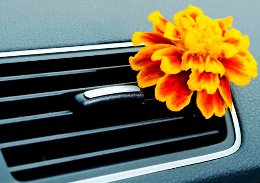 Cómo quitar los malos olores del coche